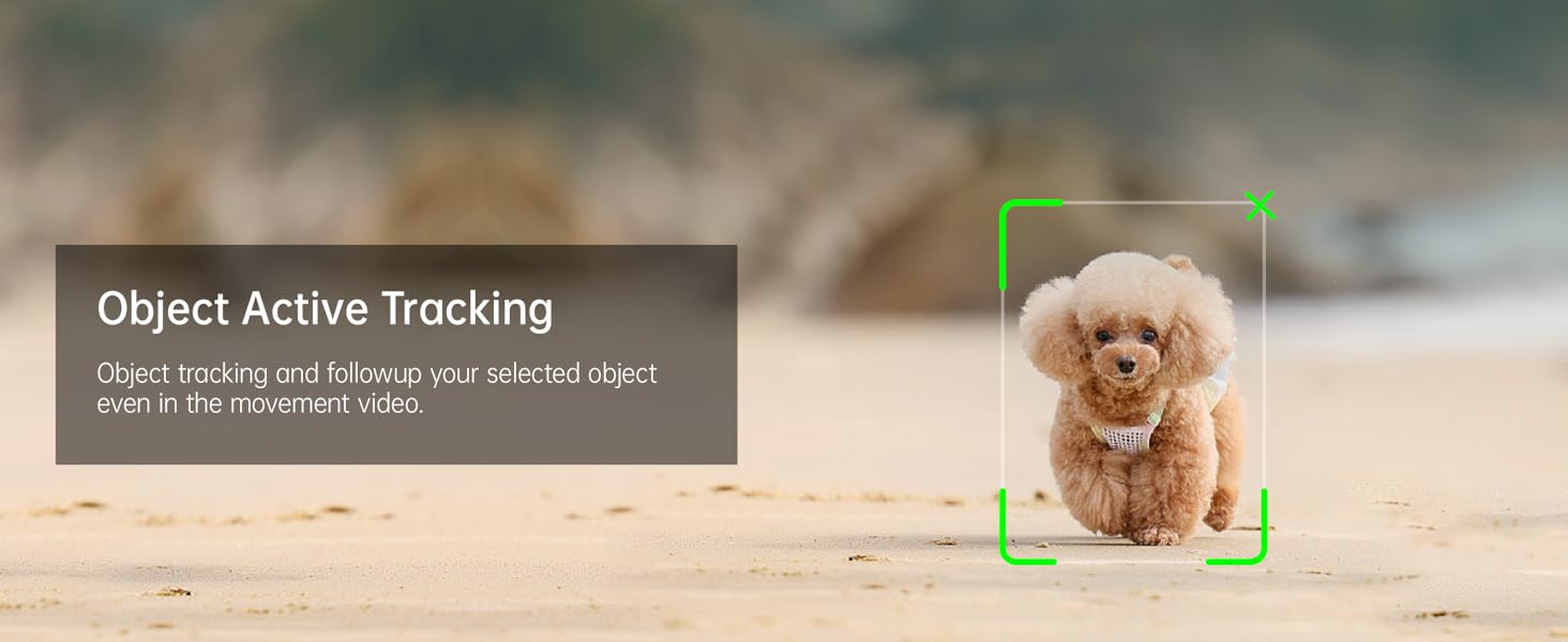 Active Tracking