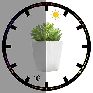 Timing Function