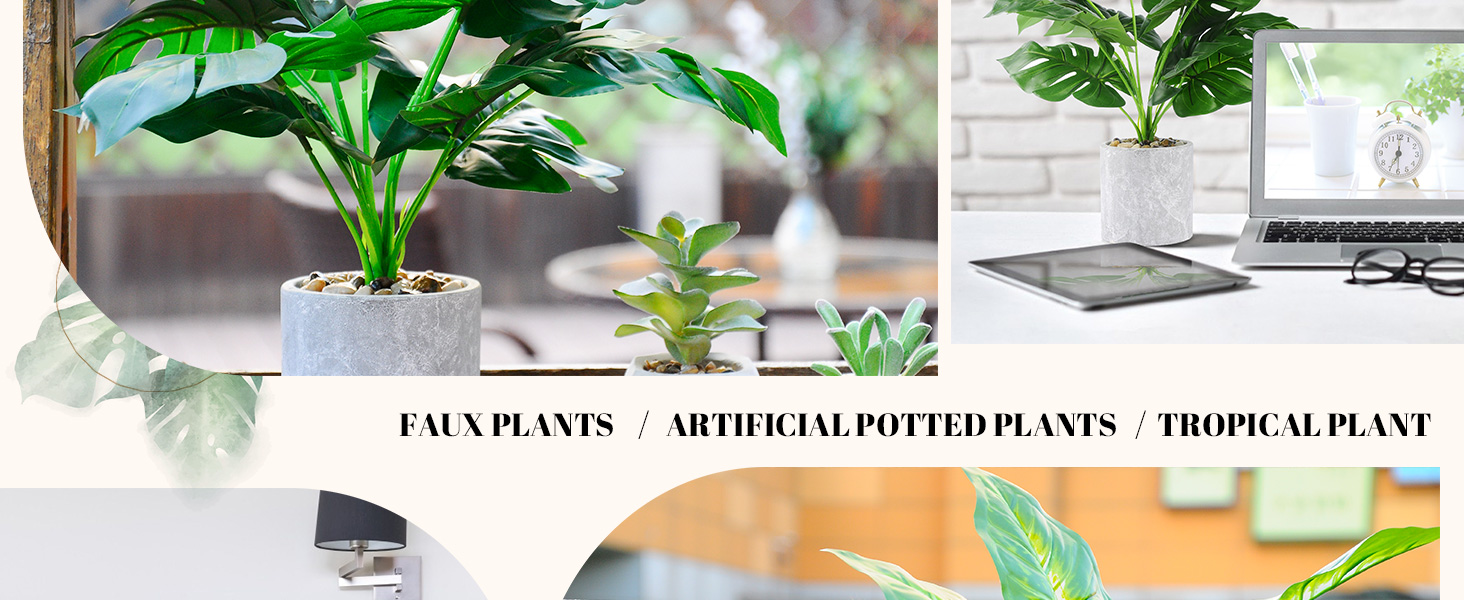fakes plants