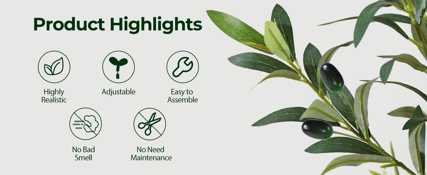 olive tree