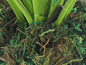 artificial plants indoor