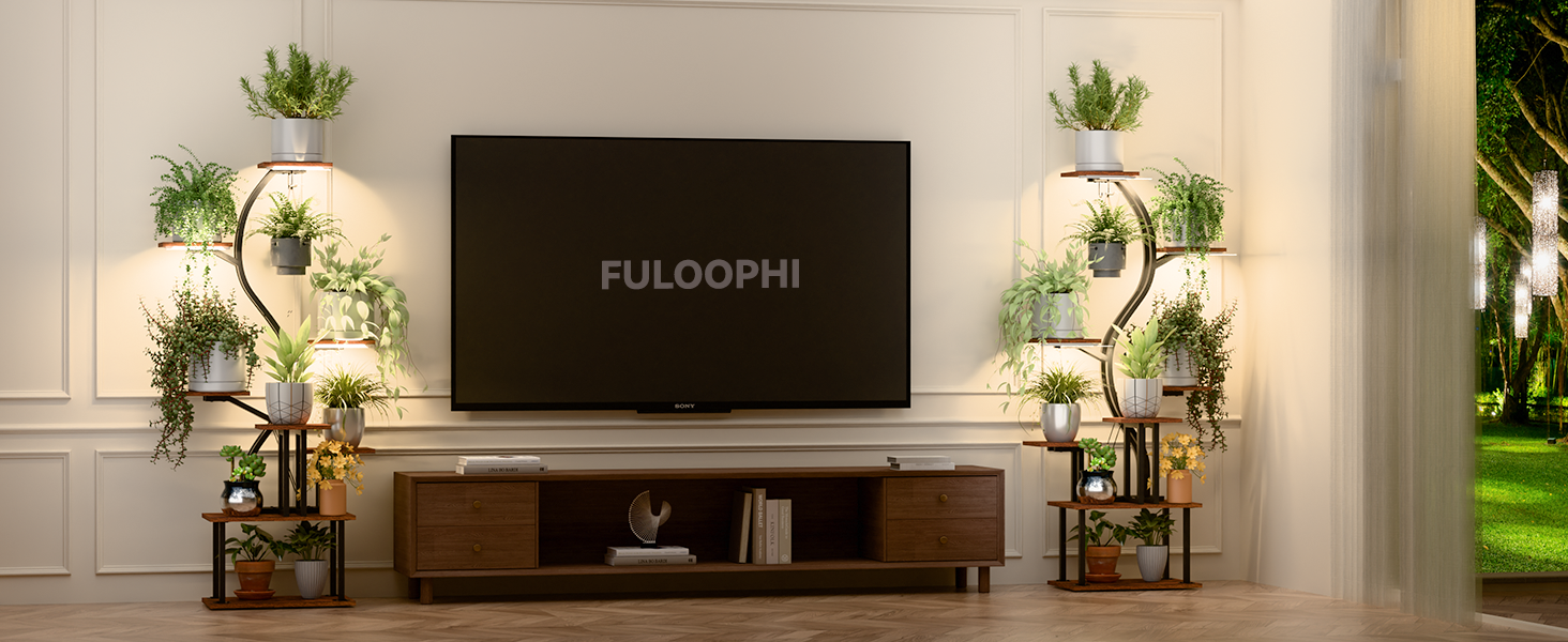 plant shelf indoor