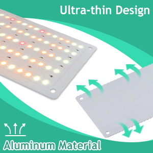 grow light