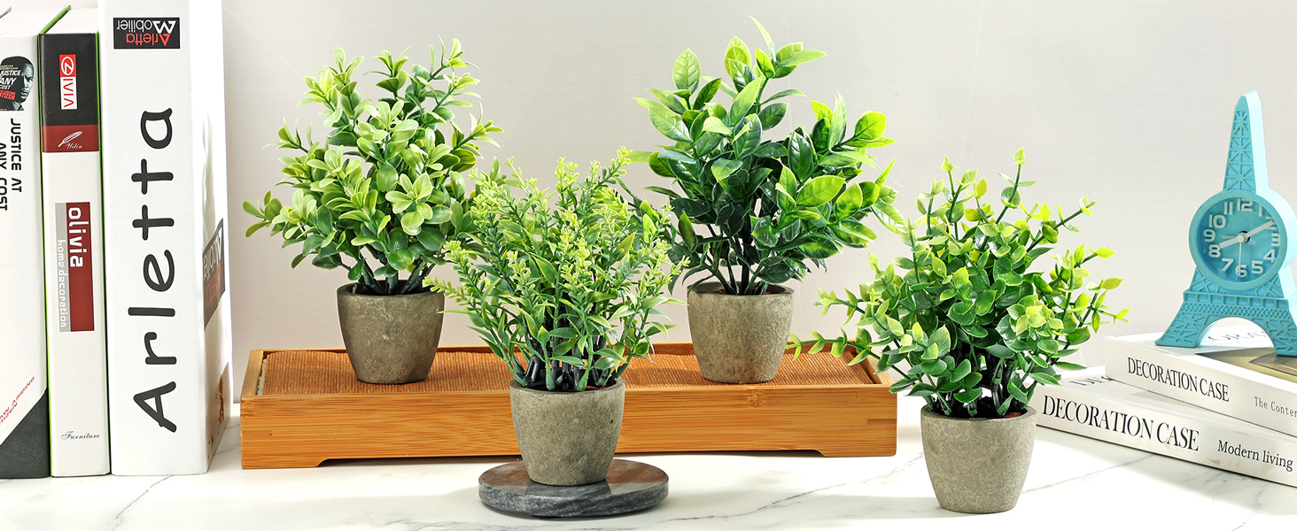 4 potted green plants