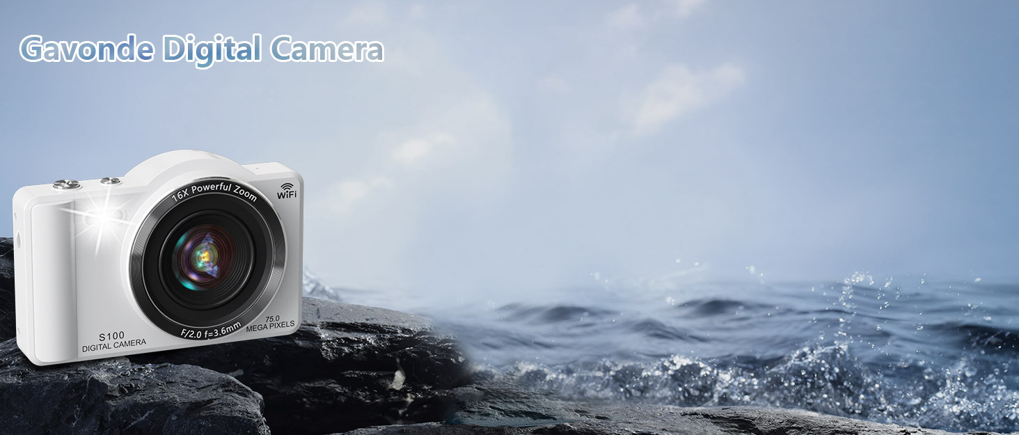 digital camera