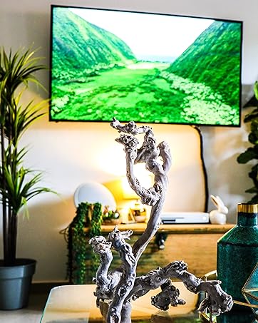 Wall Mount Continu.us