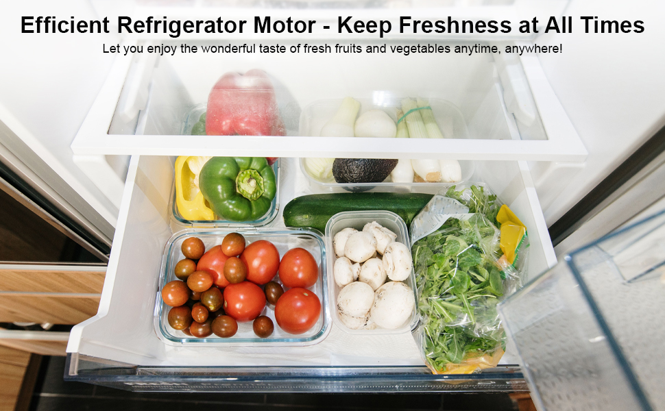 Refrigerator Evaporator Fan Motor