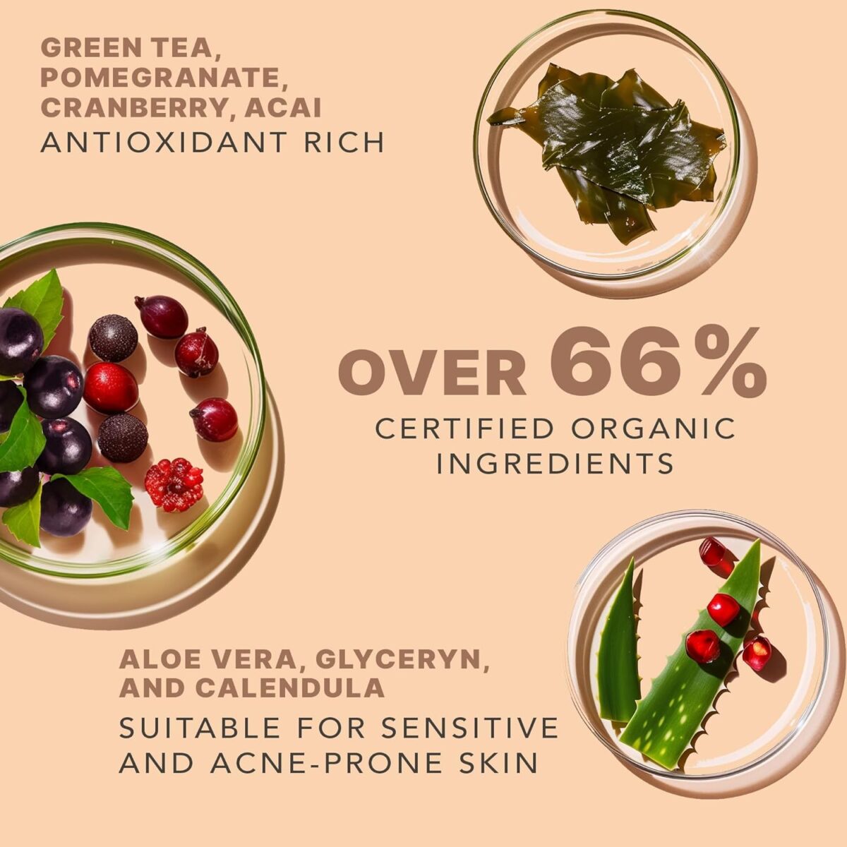 1749715699 Beauty by Earth Clean Face Wash USA Made with Organic Natural Ingredients Non Toxic Facial Cleanser Beauty by Earth Clean Face Wash - USA Made with Organic & Natural Ingredients, Non-Toxic Facial Cleanser