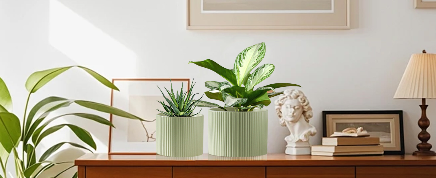Ceramic Plant Pots