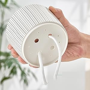 self-watering plant pots