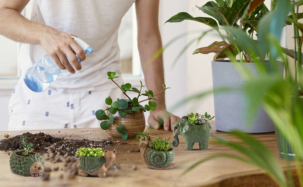 planter pots for indoor plants