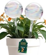 Indoor plants