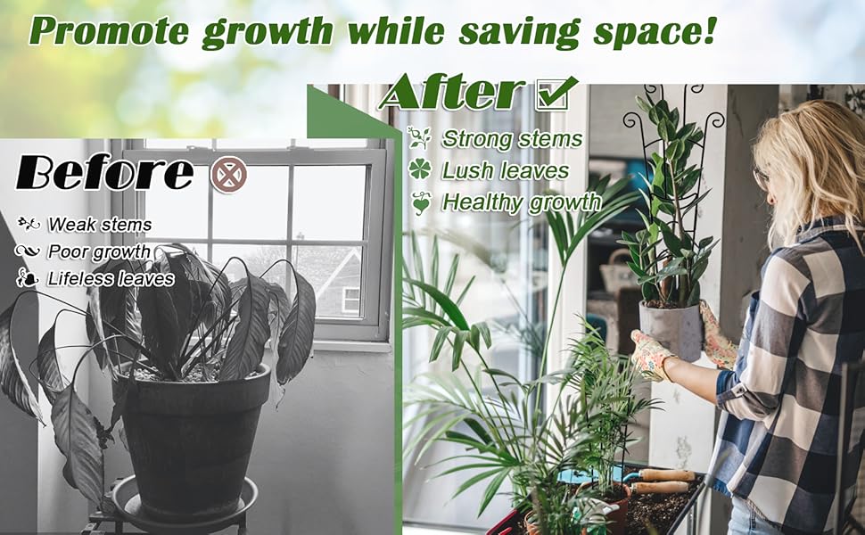 before after