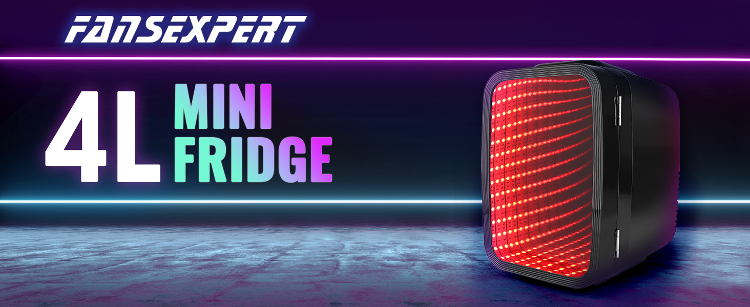 Mini Fridge Small Refrigerator Portable Thermoelectric Cooler and Warmer Fridge
