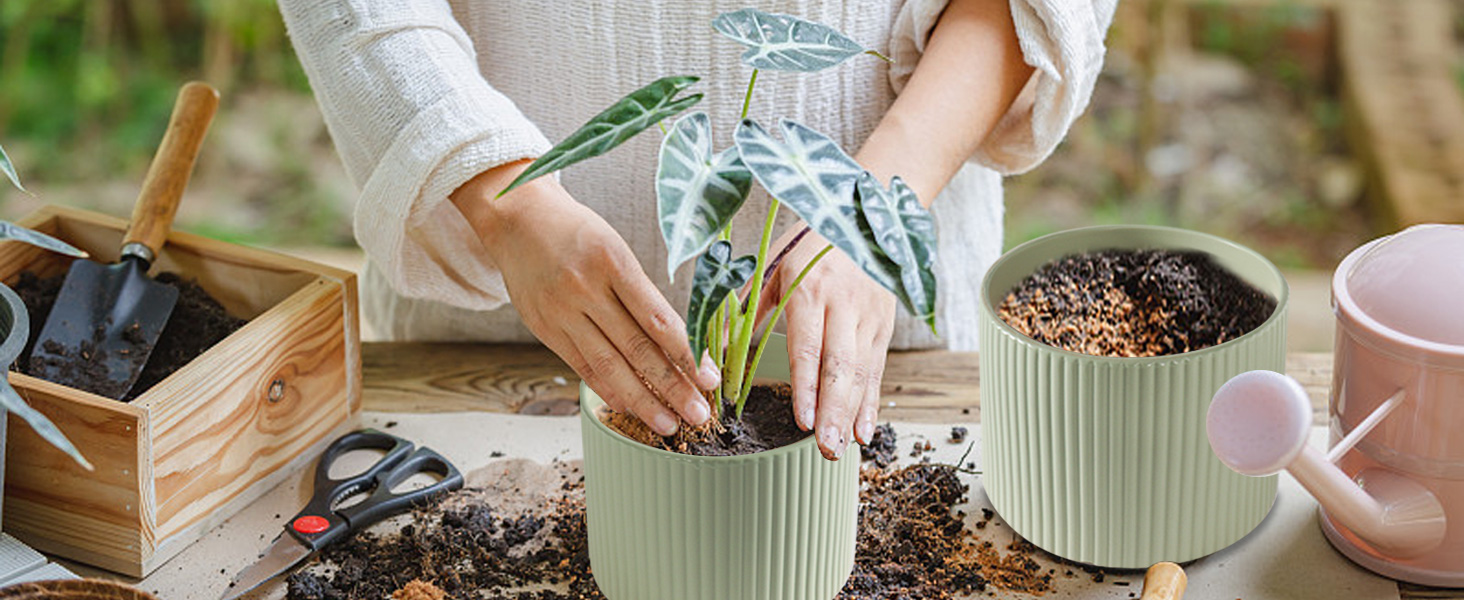 Ceramics Plant Pots for Indoor Plants