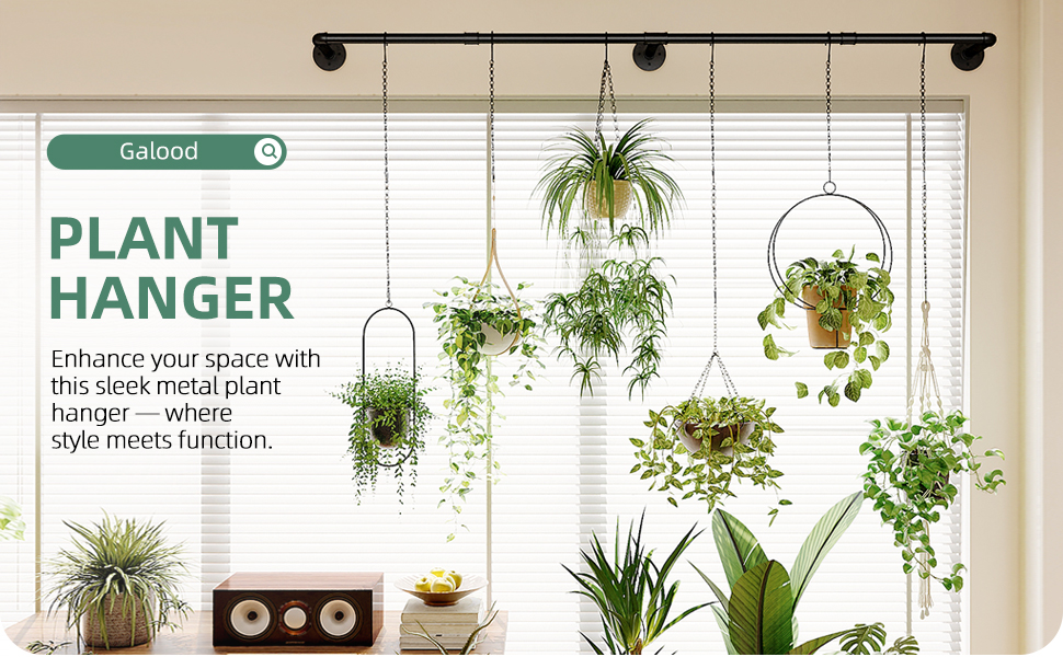 window plant hanger
