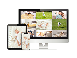Multi-device viewing