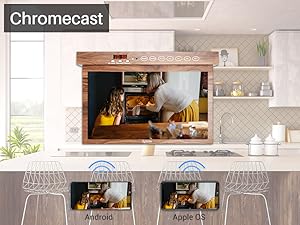 chormecast built in