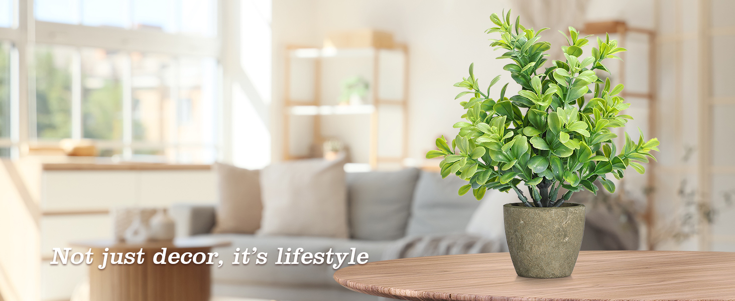 4 potted green plants