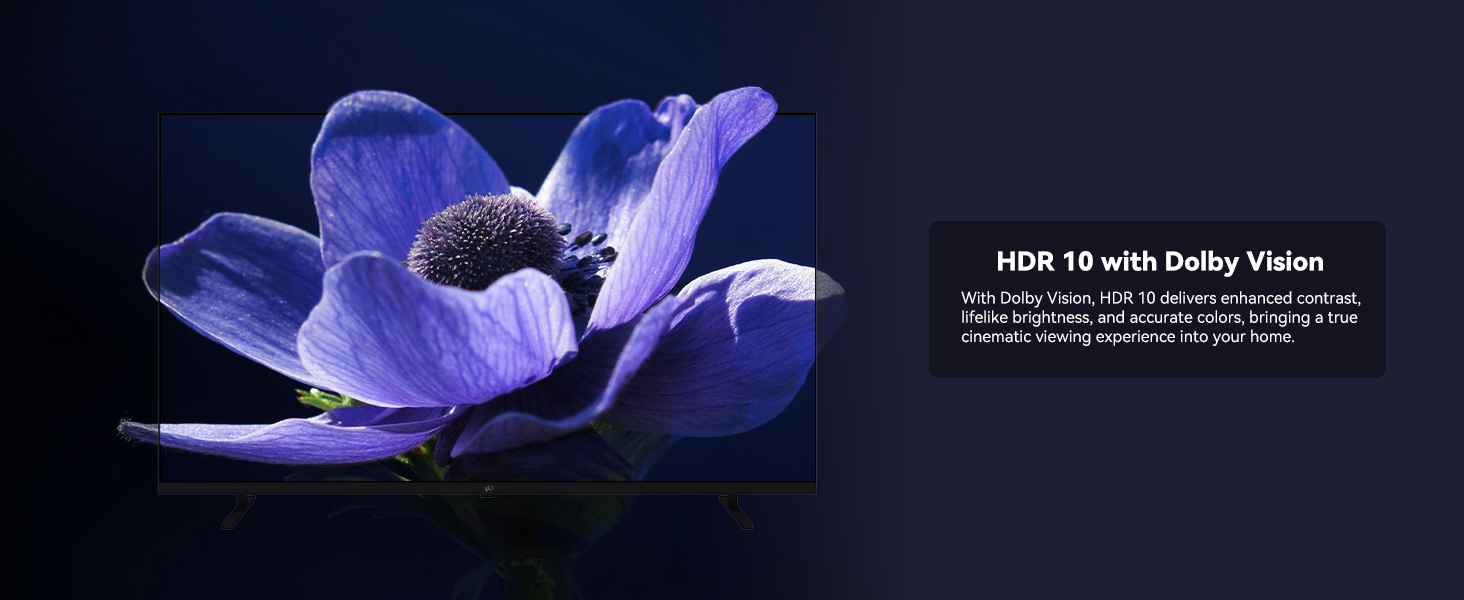 tvs
