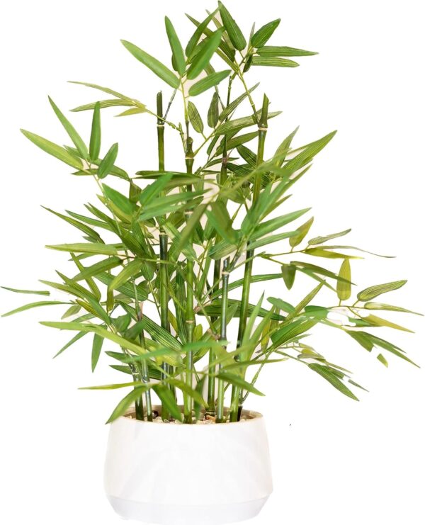 365 Blooming Decor 18 Inch Tall White Potted Faux Bamboo Plant – Luxury Artificial Bamboo in White Pot for Home, Office, Kitchen, Counter Top, Indoor Decor, Money Tree, Lucky Tree