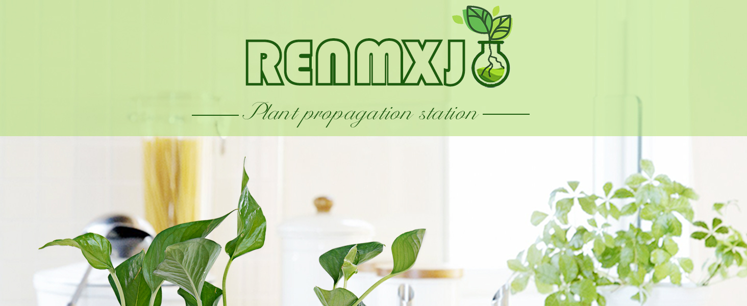 plant propagation station