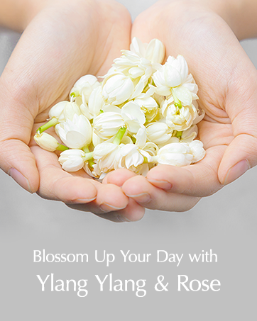 Korean Skincare, Korean Facial Cleanser, Facial Cleanser, Foam Cleanser, Hyaluronic Acid