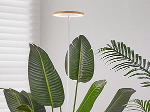 grow light