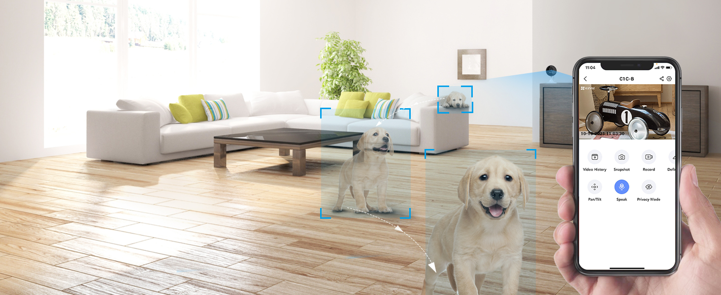 Motion Detection
