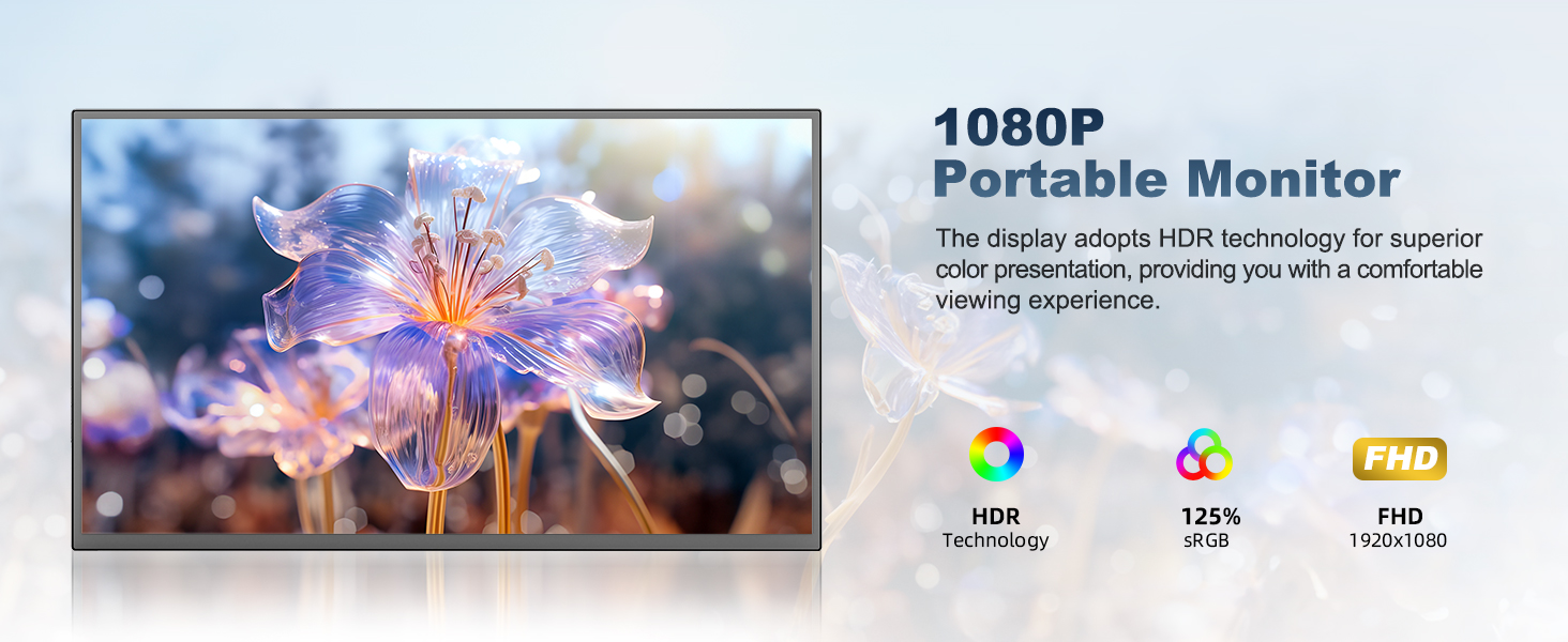portable monitor 18.5
