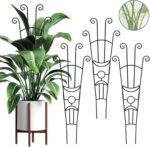 Indoor plants