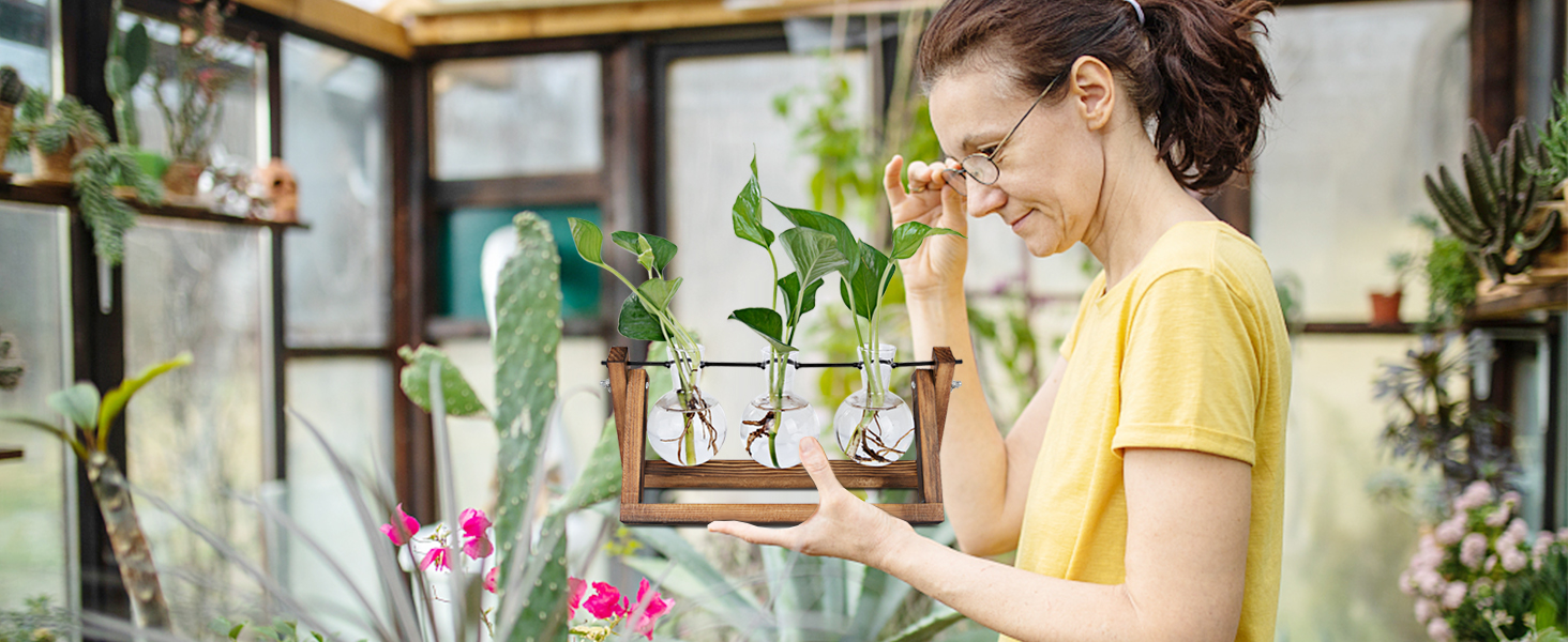 plant propagation