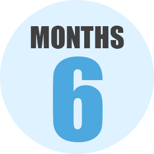 6 months