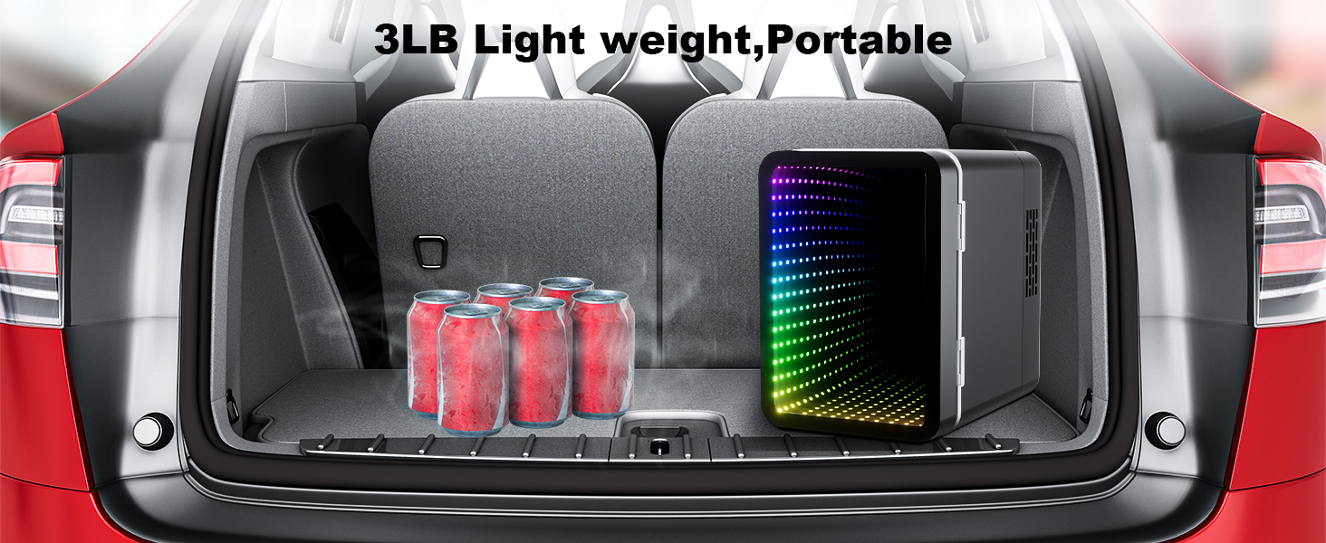 mini fridge for car
