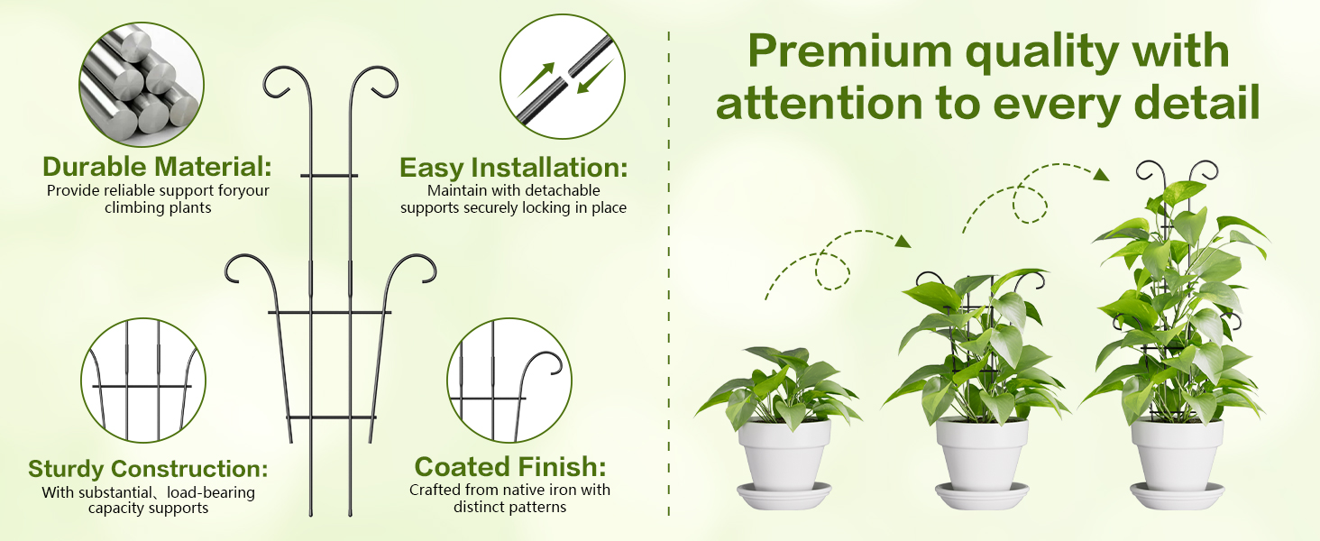 plant trellis