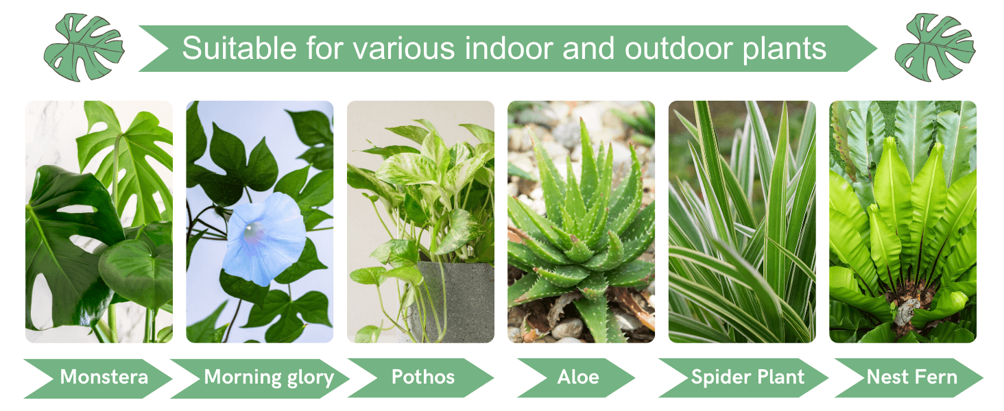 Suitable for various indoor and outdoor plants