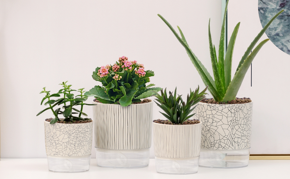 self watering