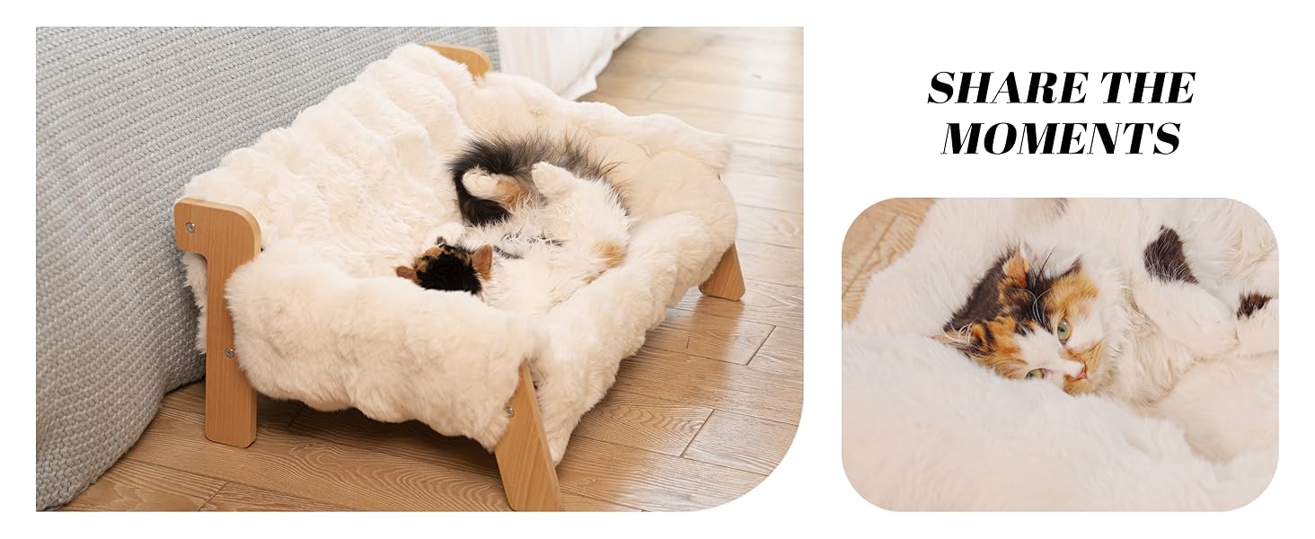 cat couch bed