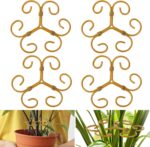 Indoor plants