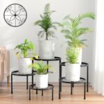 Indoor plants
