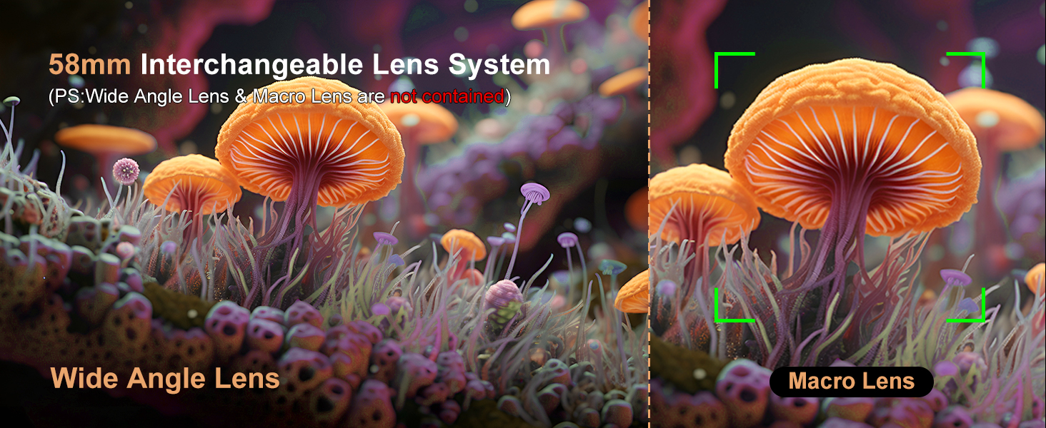 58mm interchangeable lens camera