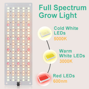 plant light