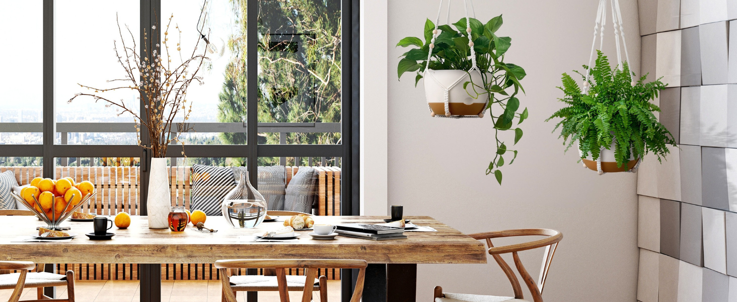 Hanging Pots for Indoor Plants