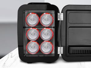 Mini Fridge Small Refrigerator Portable Thermoelectric Cooler and Warmer Fridge