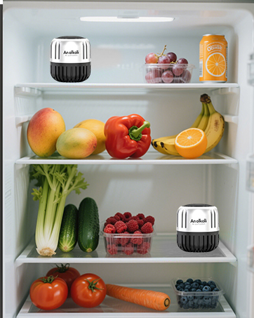 refrigerator deodorizer