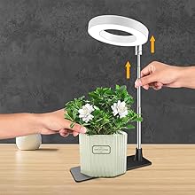 plant light