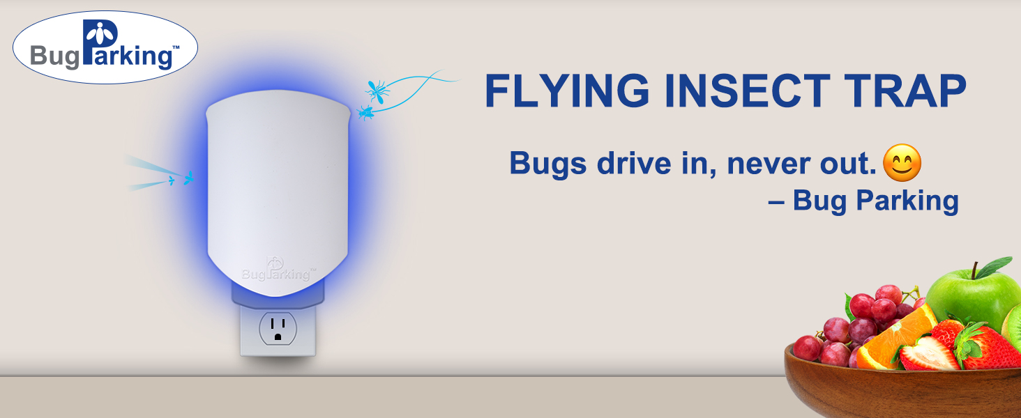 fly insect trap