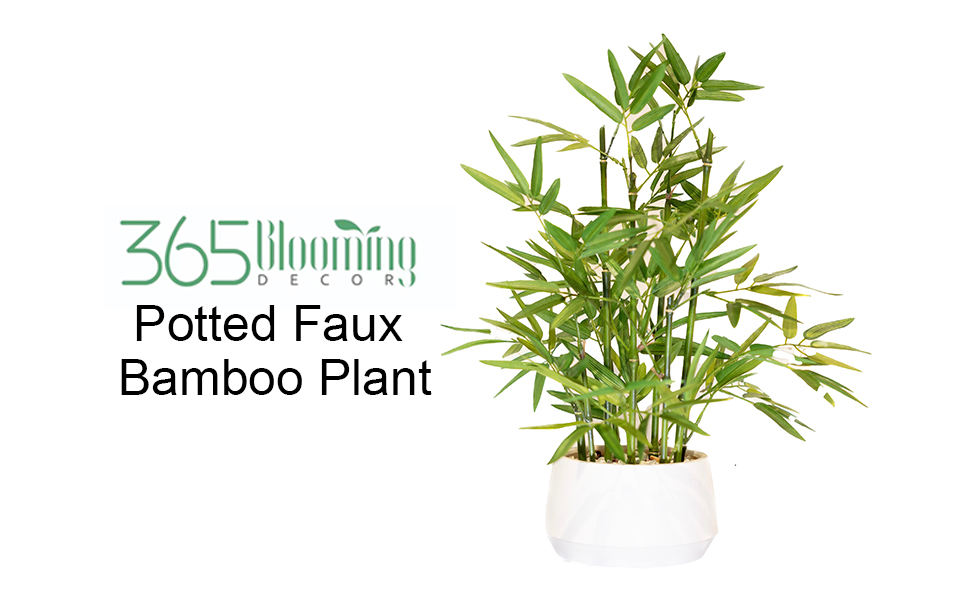 Bamboo with logo