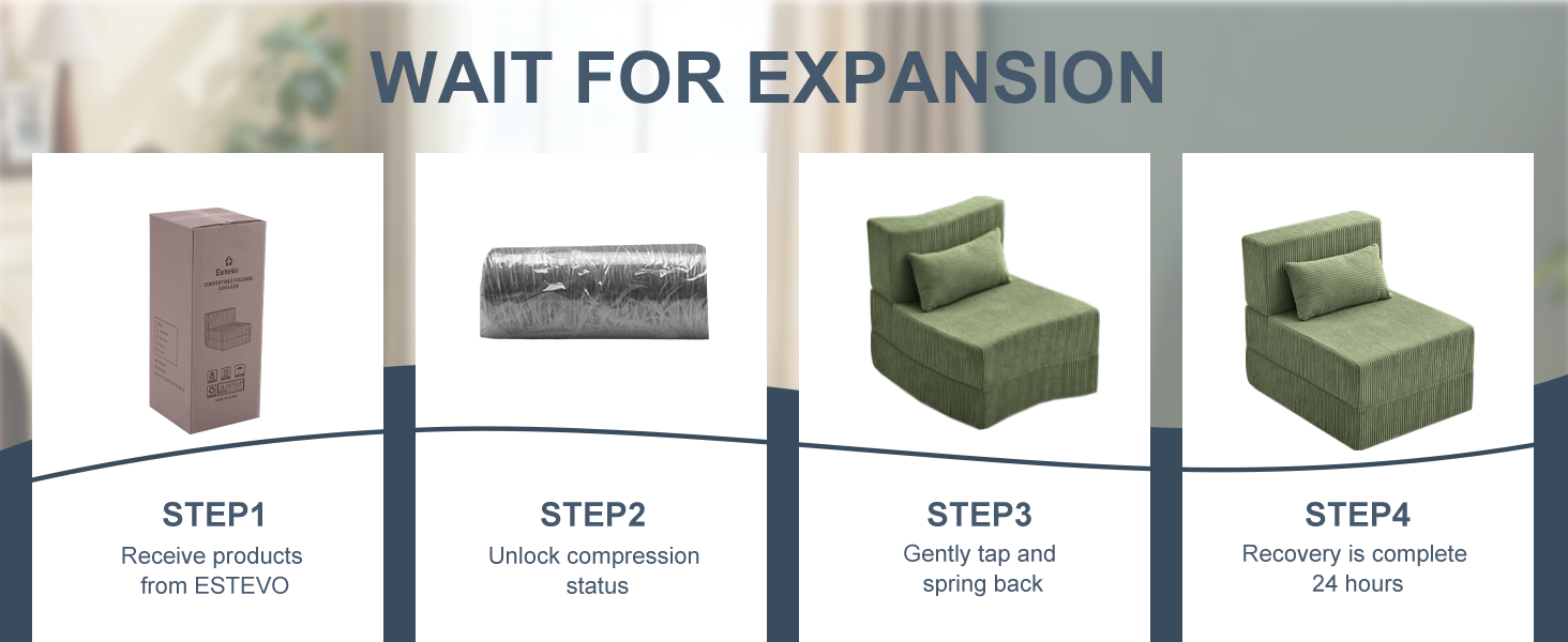 Folding Sofa Bed