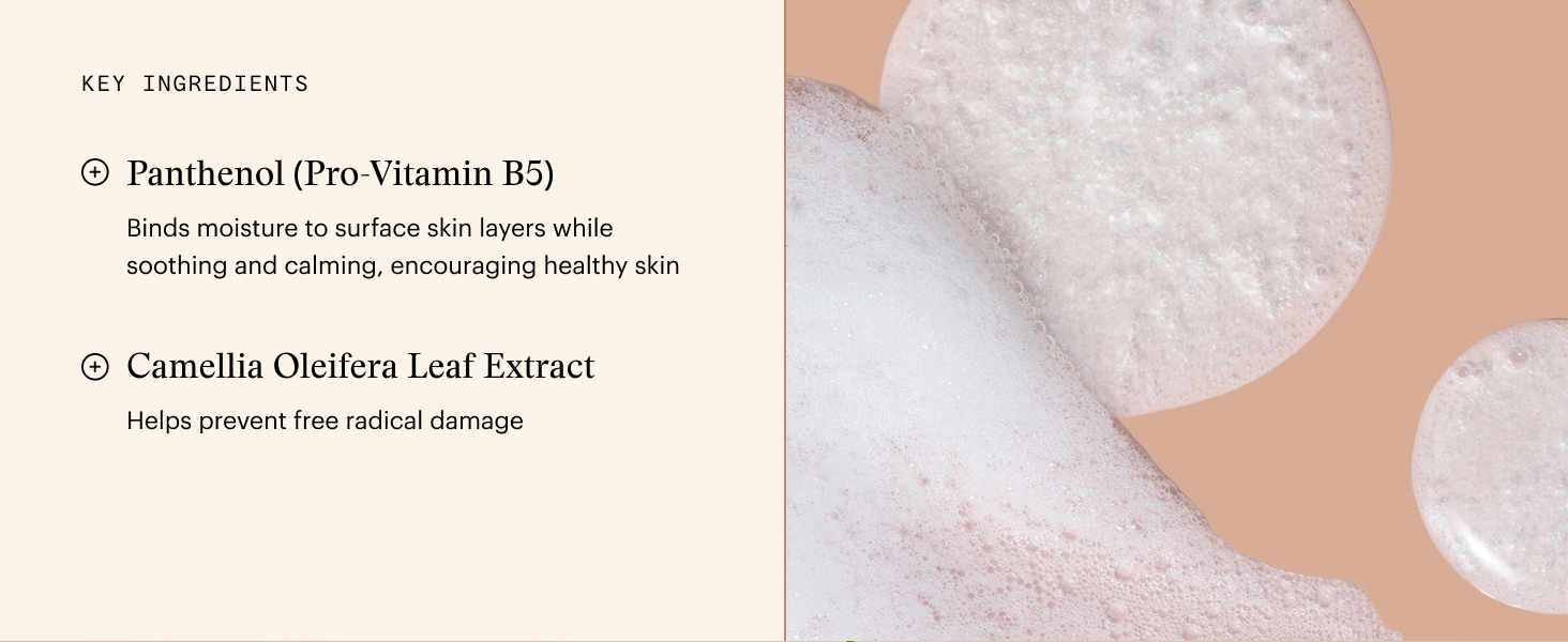 made with panthenol pro-vitamin B5 and camellia oleifera leaf extract